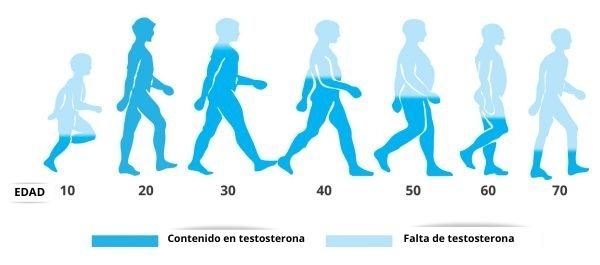 Falta de testosterona