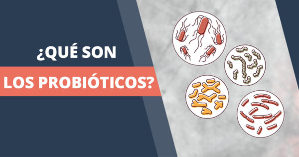 Que son los probioticos y como pueden ayudarte